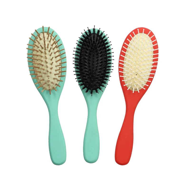 Multi‑Color Paint Hair Brush With Assorted Bristle Options