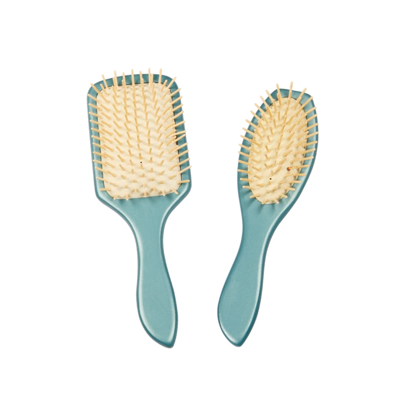Blue Schima Superba Cushion Brush With Wooden Pins Set1